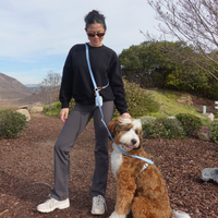 Malibu Blue Wide Hands Free Leash | Cloud Lite Harness | Snap Dog Treat Pouch | Waste Dog Poop Bag Dispenser