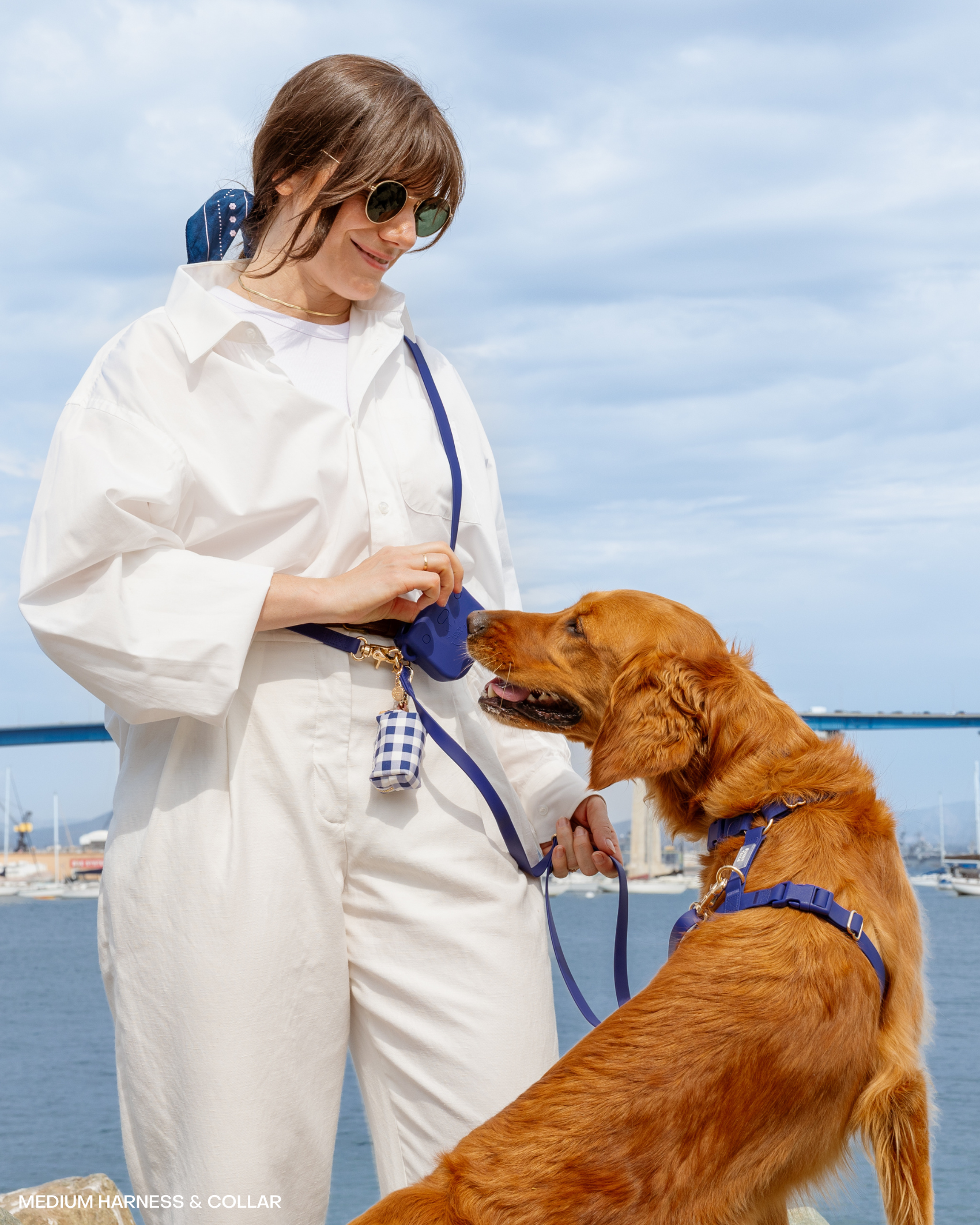 Signature Navy Snap Dog Treat Pouch | Dog Training Bag | Dog Bag for Treats | Carry Wet or Dry Treats | Silicone Pouch for Dog | Sunny Tails