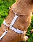 Cloud Lite Dog Harness Treat Pouch Bundle - SUNNY TAILS