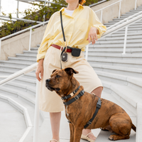 Ember Black Convertible Hands Free Cloud Dog Leash | Crossbody, Waterproof, and Lightweight Dog Leash | Dog Treat Pouch | Waterproof Dog Harness | Waterproof Dog Collar | Sunny Tails
