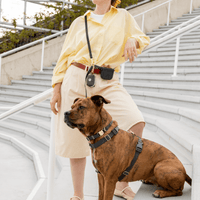 5 - Piece Hands Free Set – Leash, Harness, Collar, Treat Pouch & Waste Bag Holder - SUNNY TAILS