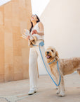 Light Blue Waterproof Dog Collar | Malibu Blue Quick Release Collar | Available in 3 Sizes | Durable Dog Collars | Shop Sunny Tails