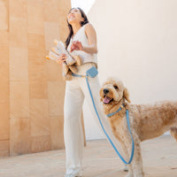 Best Sellers Leash Extension & Treat Pouch Bundle - SUNNY TAILS