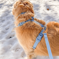 Malibu Blue Wide Hands Free Leash | Cloud Lite Harness | Snap Dog Treat Pouch | Waste Dog Poop Bag Dispenser