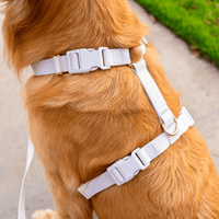 5 - Piece Hands Free Set – Leash, Harness, Collar, Treat Pouch & Waste Bag Holder - SUNNY TAILS
