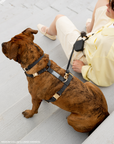 Ember Black Convertible Hands Free Cloud Dog Leash | Crossbody, Waterproof, and Lightweight Dog Leash | Dog Treat Pouch | Waterproof Dog Harness | Waterproof Dog Collar | Sunny Tails