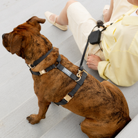 Ember Black Snap Dog Treat Pouch