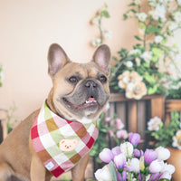 Picnic Plaid Teddy Bear Dog Bandana