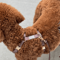 Espresso Brown Cloud Lite Dog Harness