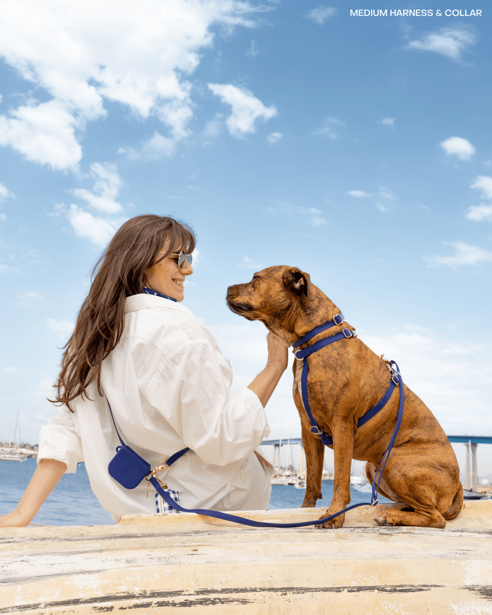 Sunny Tails 4-in-1 Convertible Hands Free Cloud Dog Leash, 8.5-ft long, 5/8-in wide, Navy Blue