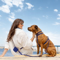 Signature Navy Blue Convertible Hands Free Cloud Dog Leash | Crossbody, Multifunctional, Waterproo
