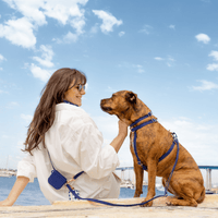 5 - Piece Hands Free Set – Leash, Harness, Collar, Treat Pouch & Waste Bag Holder - SUNNY TAILS