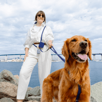 5 - Piece Hands Free Set – Leash, Harness, Collar, Treat Pouch & Waste Bag Holder - SUNNY TAILS