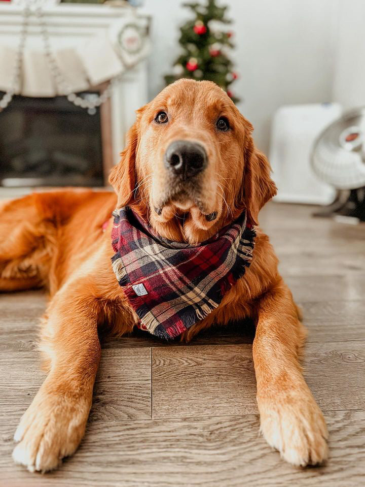 Winterberry Plaid Flannel Frayed Dog Bandana