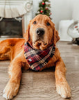 Winterberry Plaid Flannel Frayed Dog Bandana - SUNNY TAILS