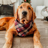 Winterberry Plaid Flannel Frayed Dog Bandana