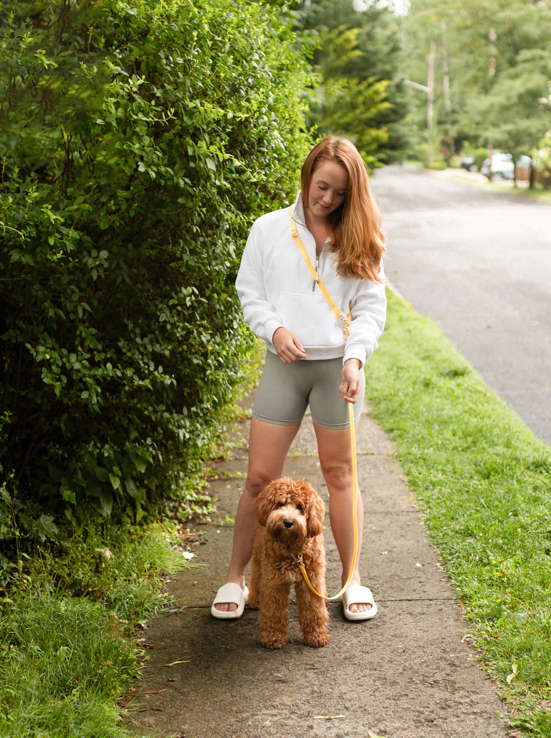Dandelion Yellow Convertible Hands Free Cloud Dog Leash | Multifunctional, Waterproof, and Lightweight Dog Leash | Shop Sunny Tails