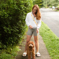 Cloud Dog Collar Bundle