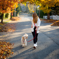 Cherry Red Convertible Hands Free Cloud Dog Leash | Multifunctional, Waterproof, and Lightweight Dog Leash | Shop Sunny Tails