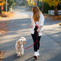 Cherry Red Convertible Hands Free Cloud Dog Leash | Multifunctional, Waterproof, and Lightweight Dog Leash | Shop Sunny Tails