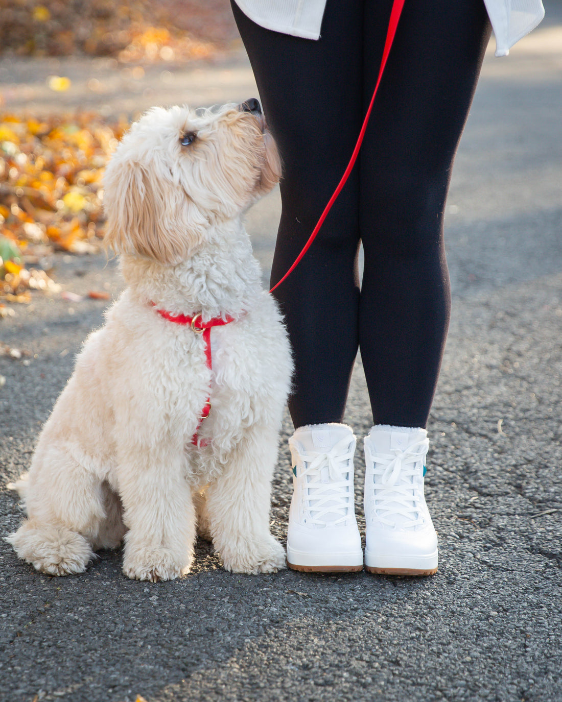 Cherry Red Cloud Lite Dog Harness | Waterproof Dog Harness | No Pull Front Attachment | Available in 3 Sizes
