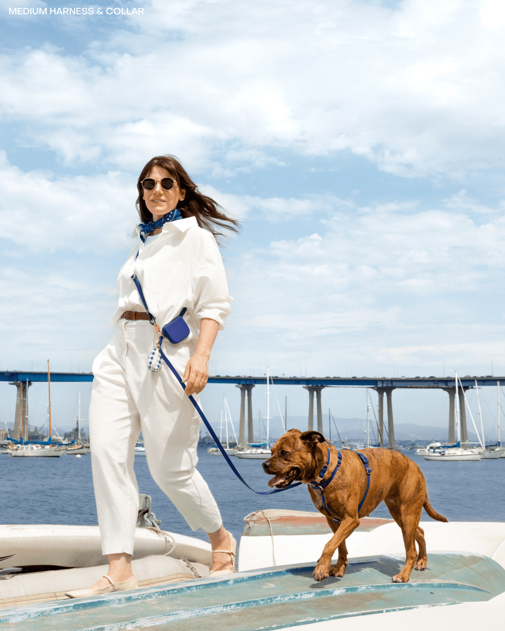Sunny Tails 4-in-1 Convertible Hands Free Cloud Dog Leash, 8.5-ft long, 5/8-in wide, Navy Blue