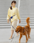 5 - Piece Hands Free Set – Leash, Harness, Collar, Treat Pouch & Waste Bag Holder - SUNNY TAILS