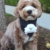 Boo! Ghost Dog Bandana