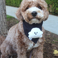 Boo! Ghost Dog Bandana - SUNNY TAILS