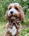 Cozy Cabin Flannel Dog Sailor Bow - SUNNY TAILS