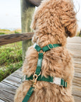 Meadow Green Cloud Lite Dog Harness - SUNNY TAILS