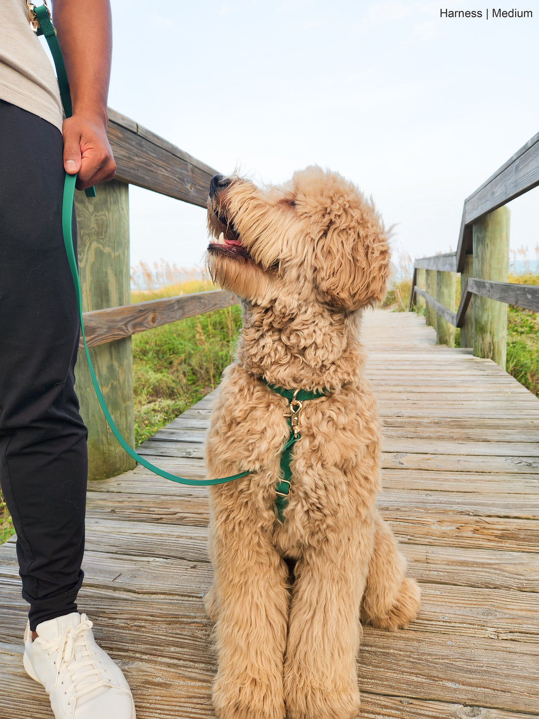 Meadow Green Cloud Lite Dog Harness | Waterproof Dog Harness | No Pull Front Attachment | Available in 3 Sizes