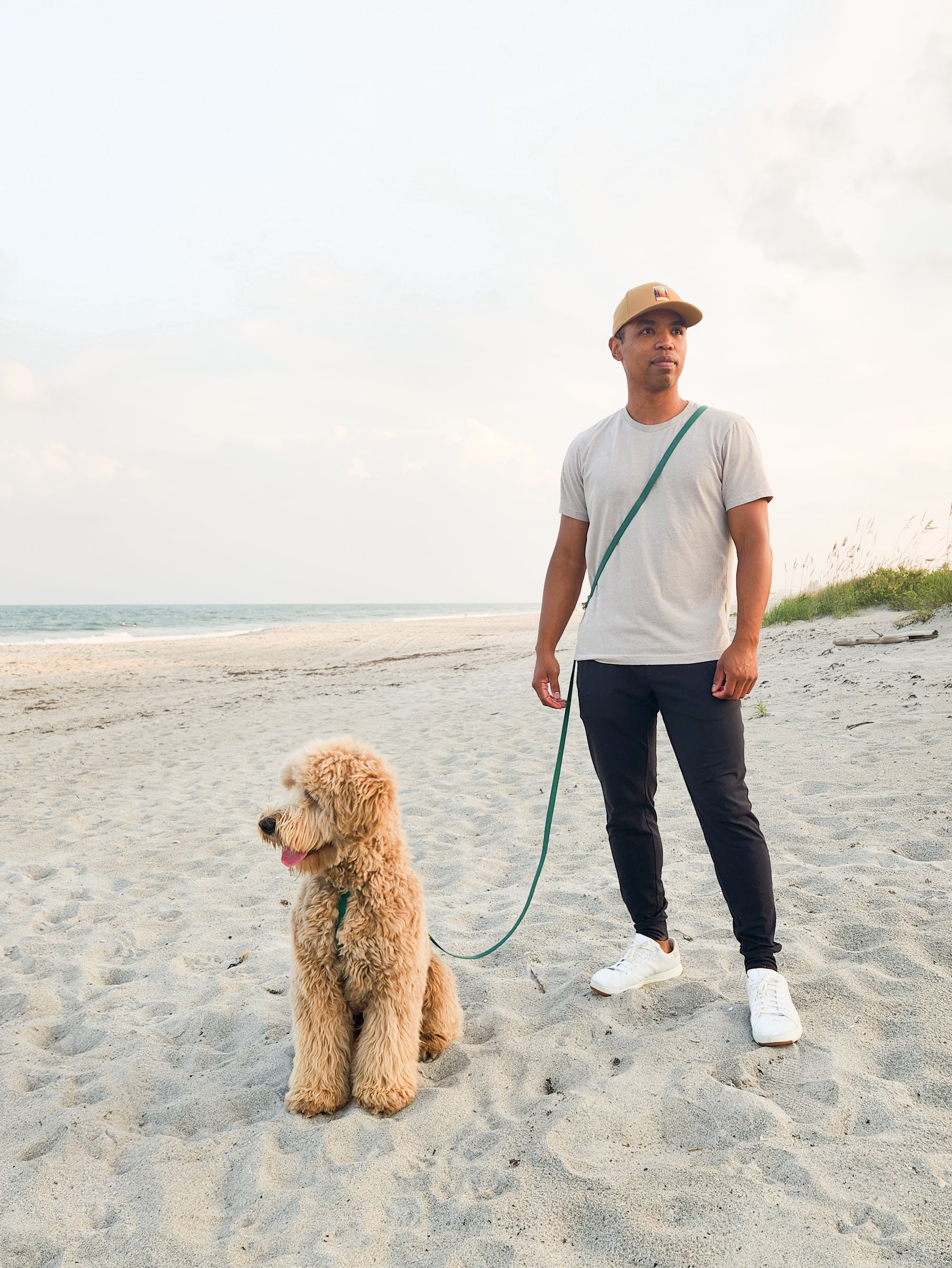 Meadow Green Cloud Lite Dog Harness | Waterproof Dog Harness | No Pull Front Attachment | Available in 3 Sizes