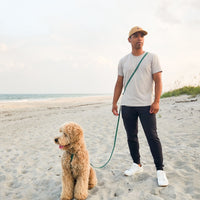 5 - Piece Hands Free Set – Leash, Harness, Collar, Treat Pouch & Waste Bag Holder - SUNNY TAILS