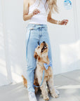 Cloud Dog Collar Bundle - SUNNY TAILS