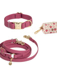 Cloud Dog Collar Bundle