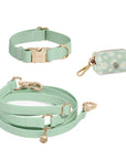Cloud Dog Collar Bundle Wide - SUNNY TAILS