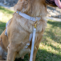 Cloud Lite Dog Harness Bundle Wide