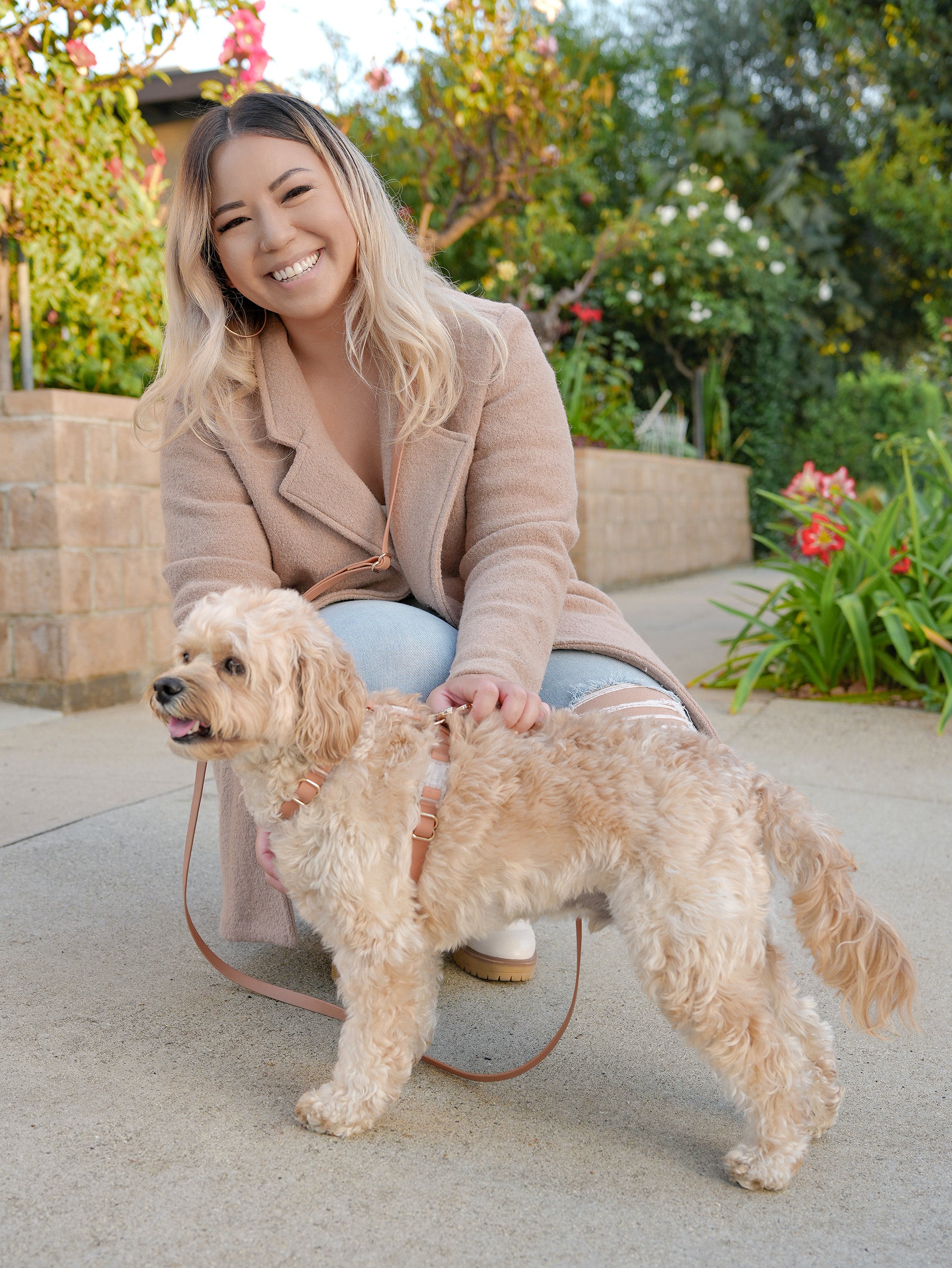 Chai Brown 4-in-1 Convertible Hands Free Cloud Dog Leash