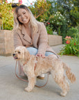 Chai Brown 4-in-1 Convertible Hands Free Cloud Dog Leash