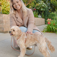Chai Brown 4-in-1 Convertible Hands Free Cloud Dog Leash