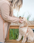 Chai Brown Convertible Hands Free Cloud Dog Leash | Multifunctional, Waterproof, and Lightweight Dog Leash | Shop Sunny Tails