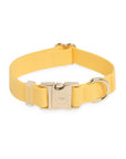 Dandelion Yellow Dog Collar | Waterproof Quick Release Collar | Available in 3 Sizes | Durable Dog Collars | Shop Sunny Tails