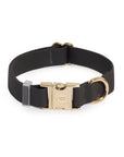 Ember Black Waterproof Dog Collar - SUNNY TAILS