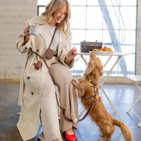 Espresso Brown 4-in-1 Convertible Hands Free Cloud Dog Leash | Multifunctional, Waterproof, and Lightweight Dog Leash | No Pull Dog Harness | Snap Dog Treat Pouch | Dog Waste Poop Bag Dispenser