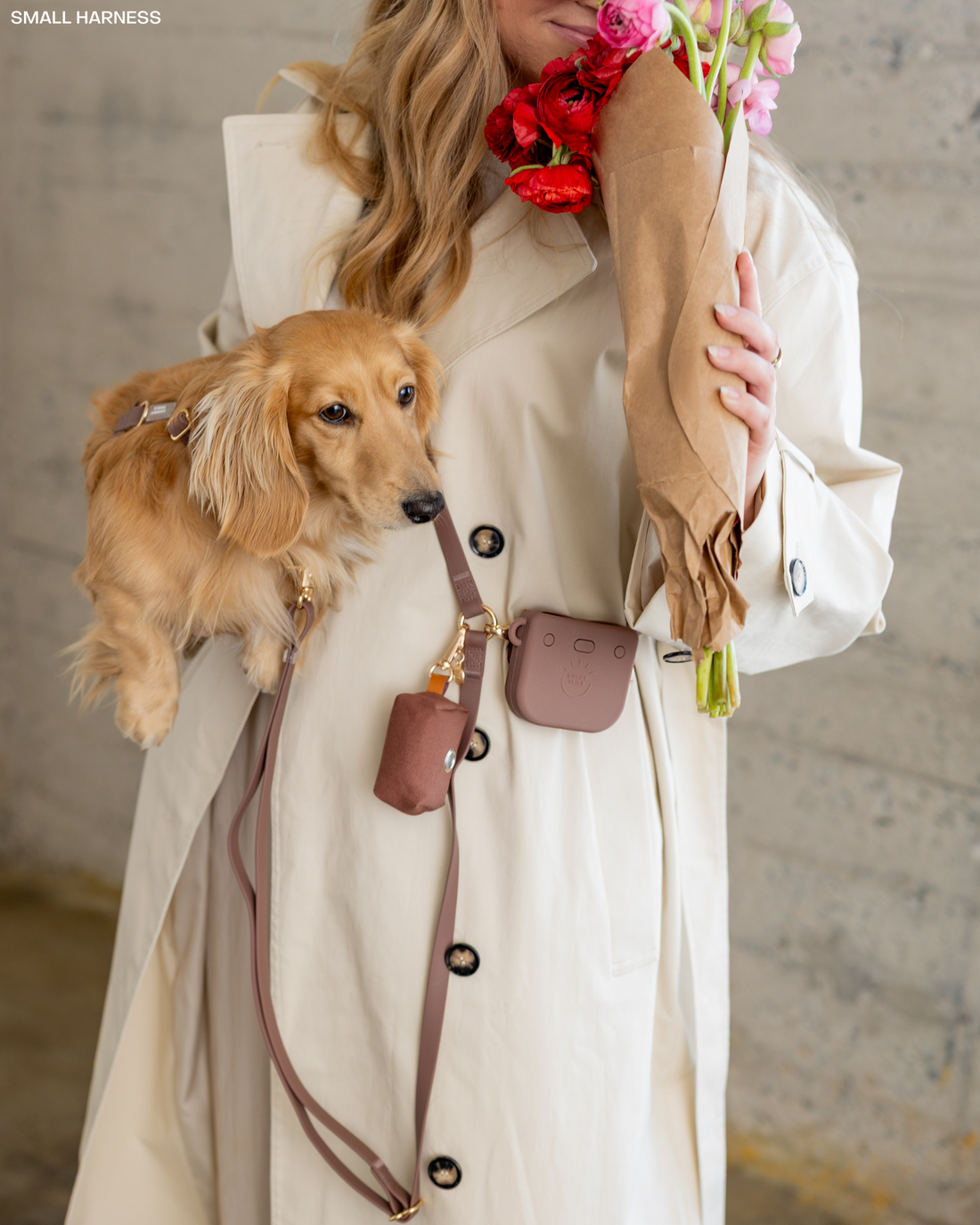 Espresso Brown 4-in-1 Convertible Hands Free Cloud Dog Leash | Multifunctional, Waterproof, and Lightweight Dog Leash | No Pull Dog Harness | Snap Dog Treat Pouch | Dog Waste Poop Bag Dispenser