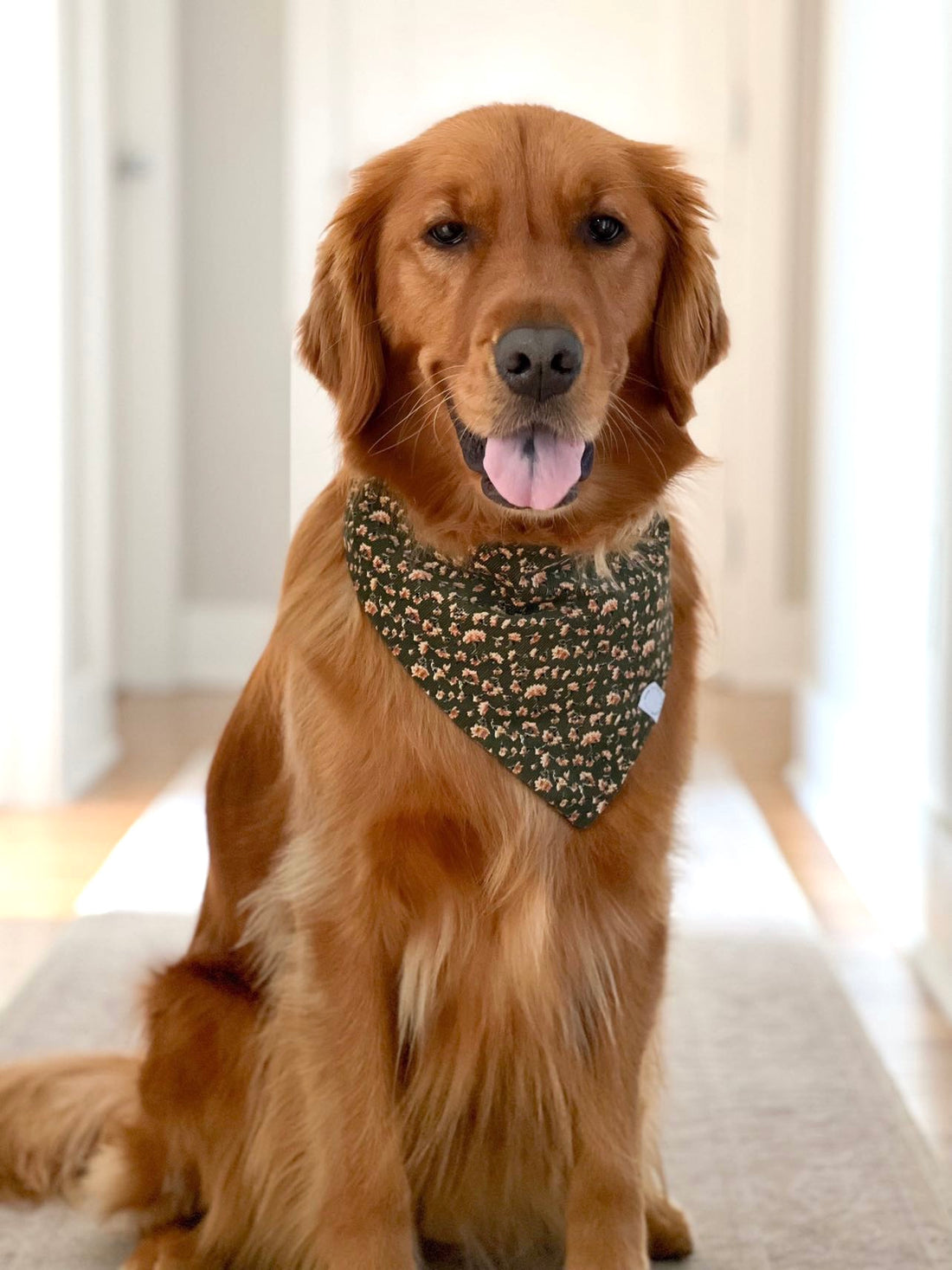 Autumn Florals Corduroy Dog Bandana