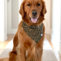Autumn Florals Corduroy Dog Bandana