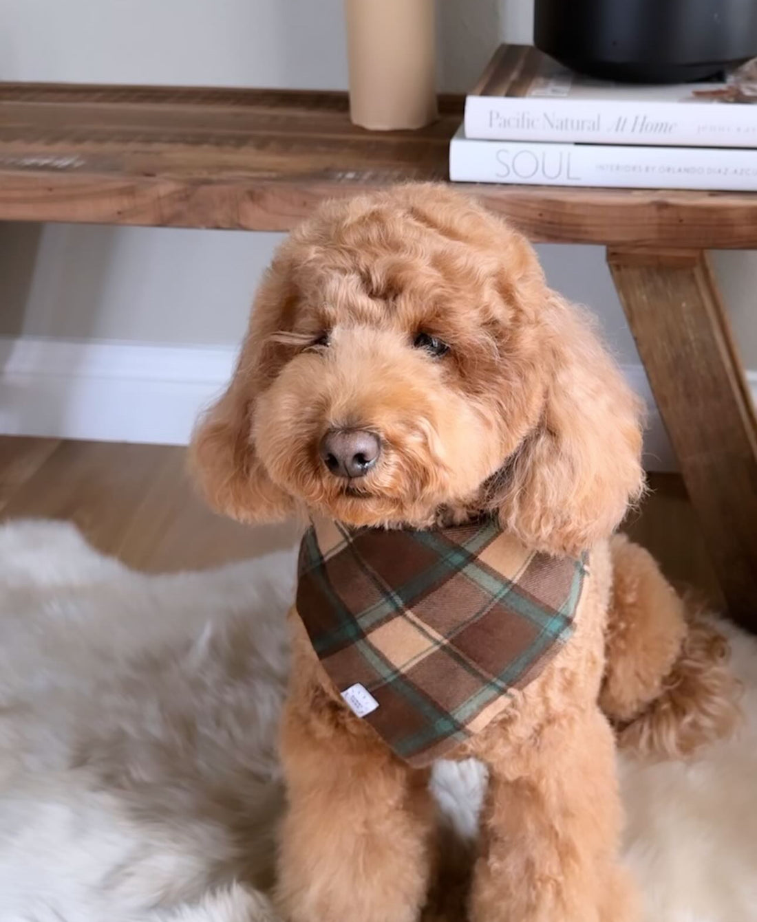 Mint Choco Plaid Flannel Dog Bandana