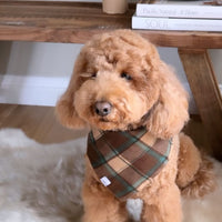 Mint Choco Plaid Flannel Dog Bandana